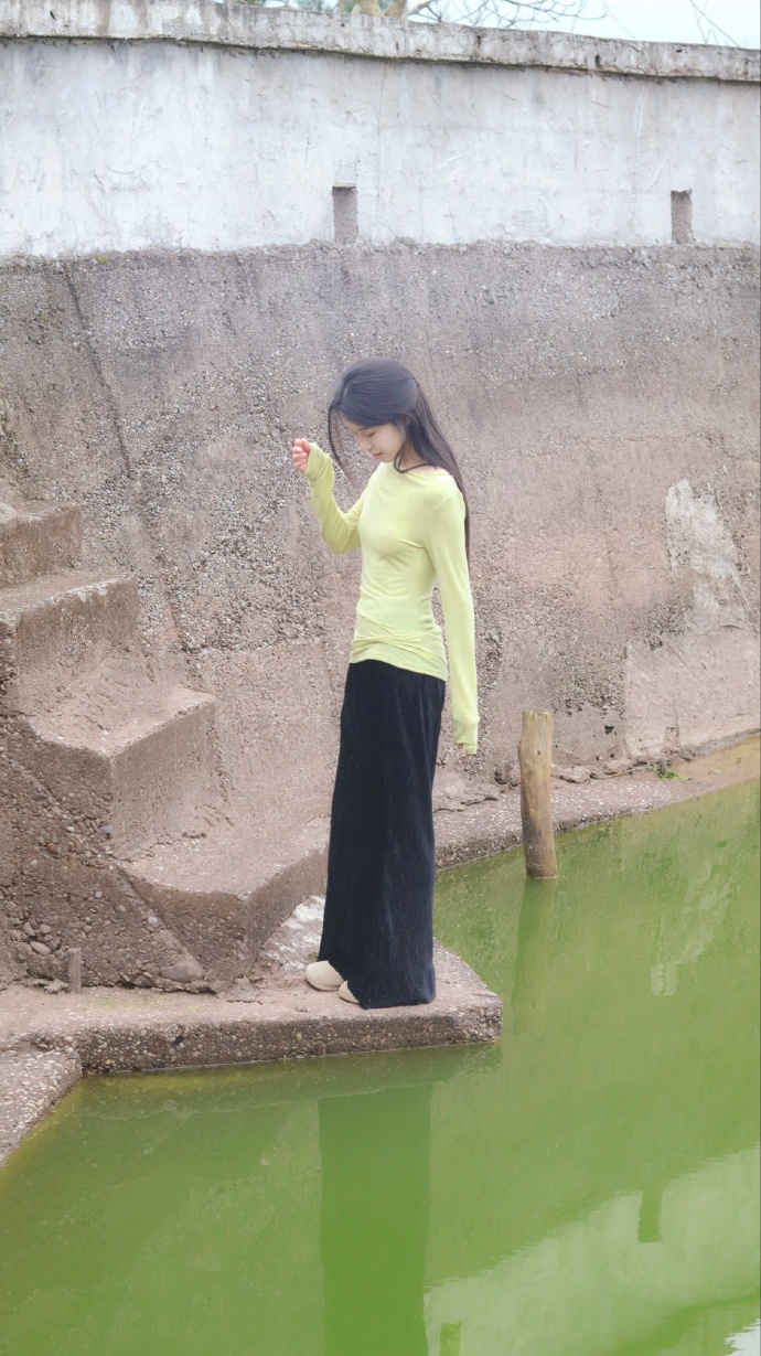 甄嬛传 封面
